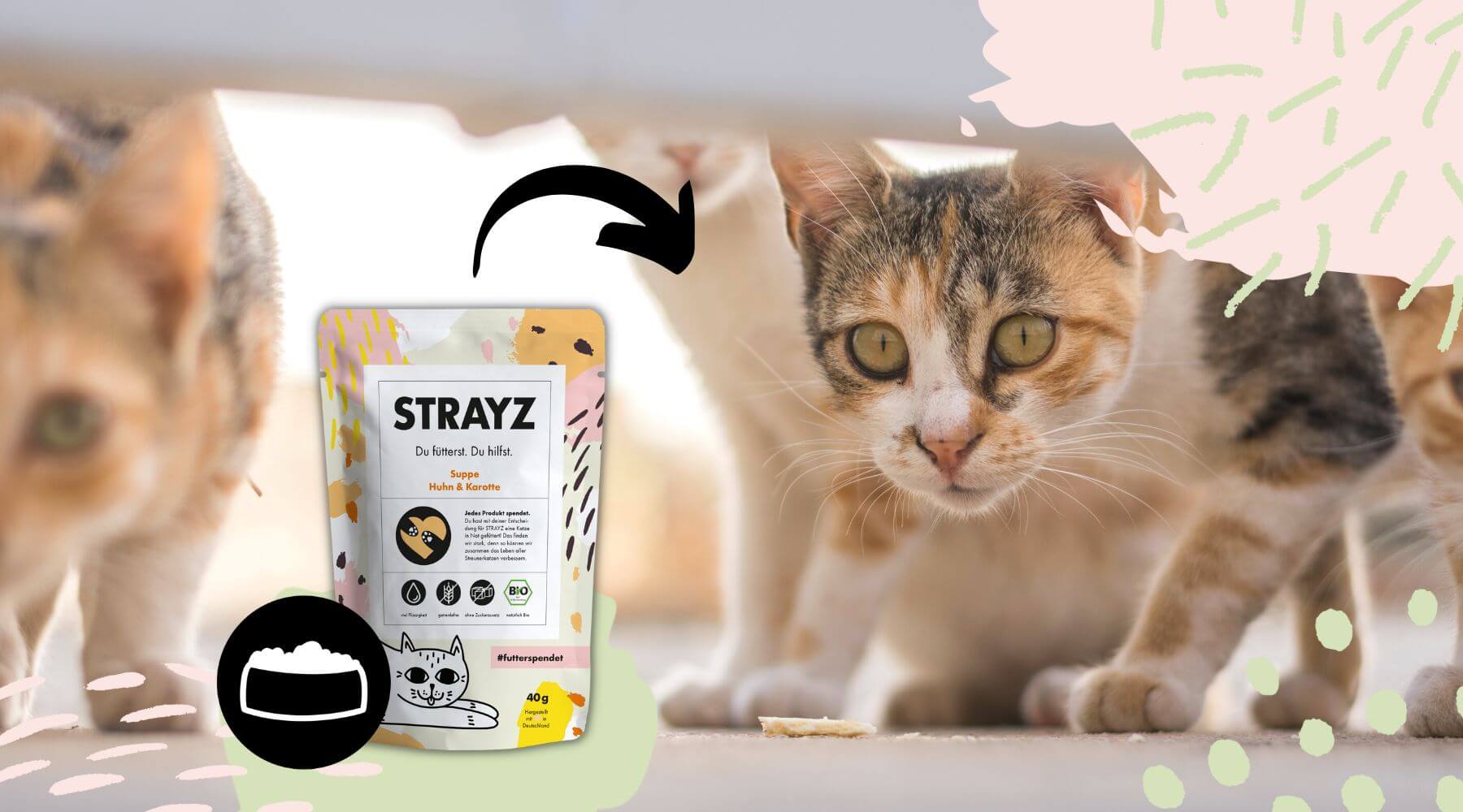 Bild von Straßenkatzen mit der STRAYZ Suppe.