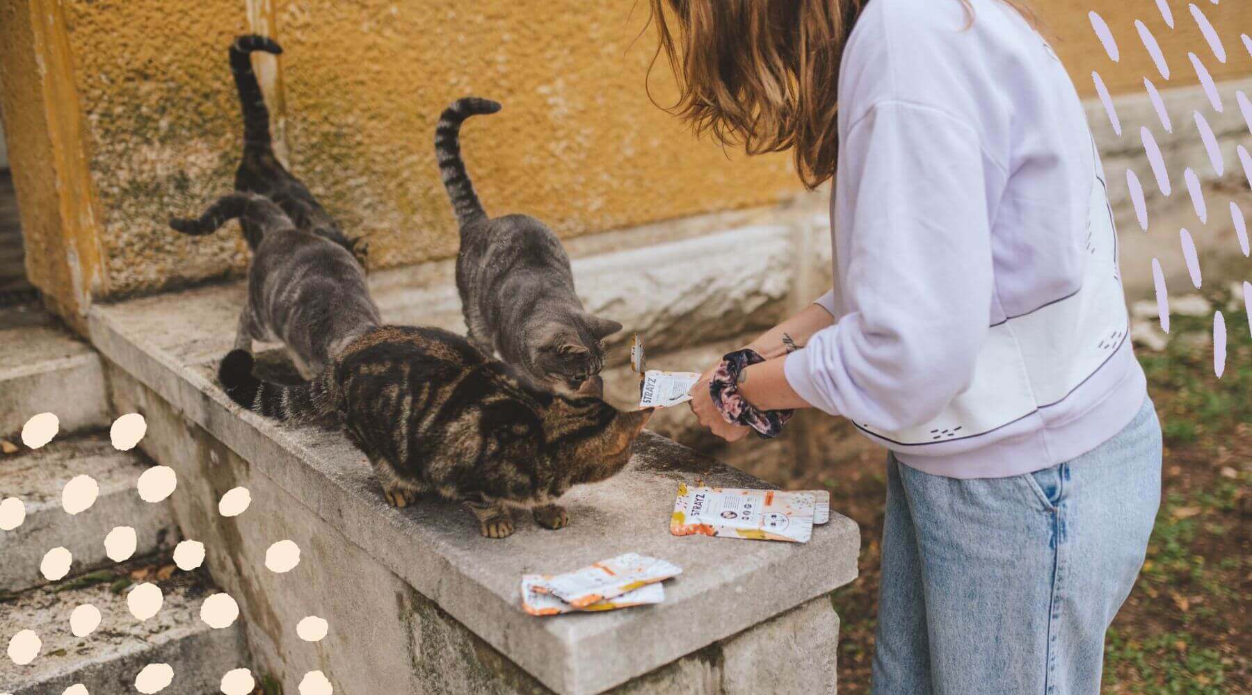 Gründerin Madeline füttert Straßenkatzen in Kroatien.