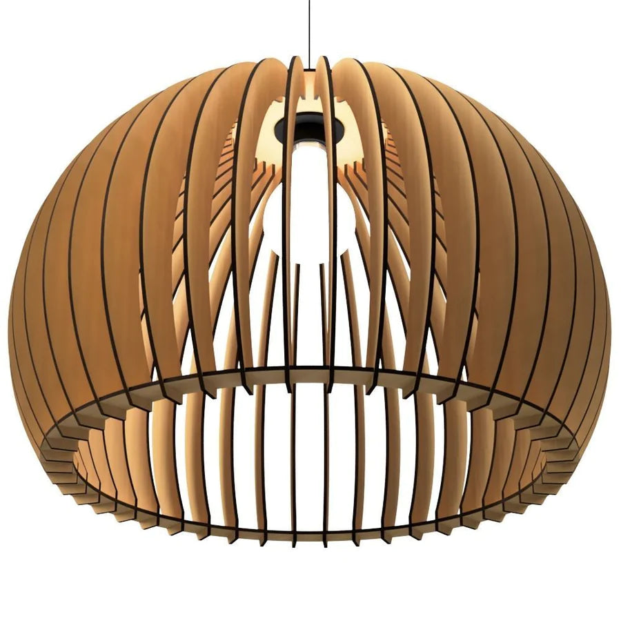 ceiling light.webp__PID:f1ded8fb-a303-4fa6-84ca-65a8a7255647