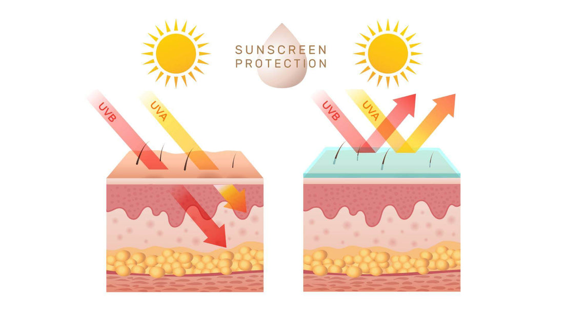 Você Sabe A Diferença Entre Protetores Solares Físicos E Químicos 8278