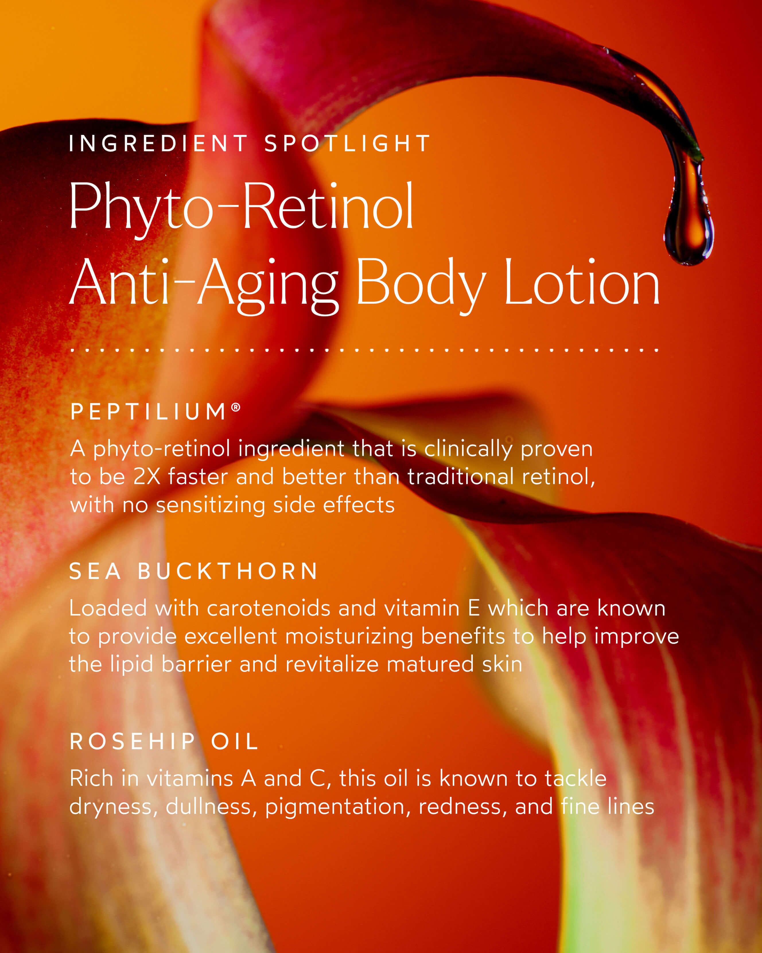 Shop True Botanicals Phyto-retinol Anti-aging Body Lotion