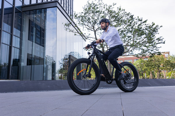 fat tire ebike DYU King 750