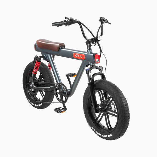 Choose Fat Tire Electric Bike Factors