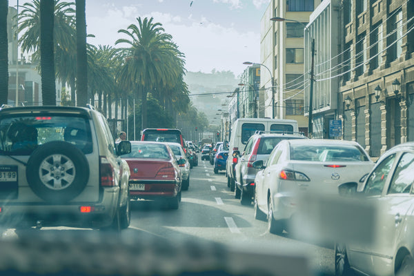 Fewer cars also mean less noise pollution from engines and horns.