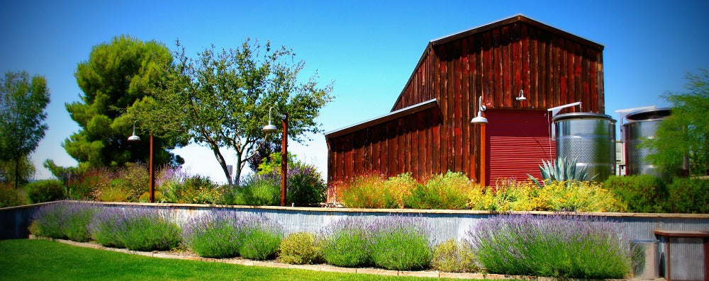 Terry Hoage Winery