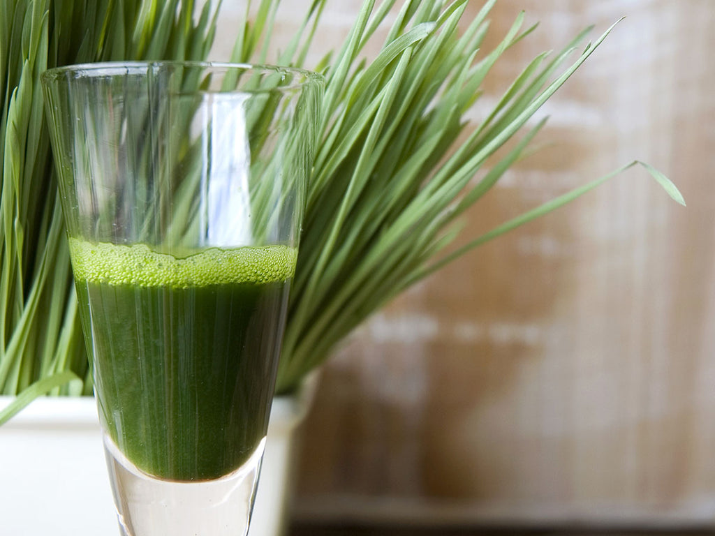 Glass filled with green juice with wheatgrass behind it