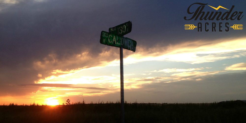 street sign at sunset