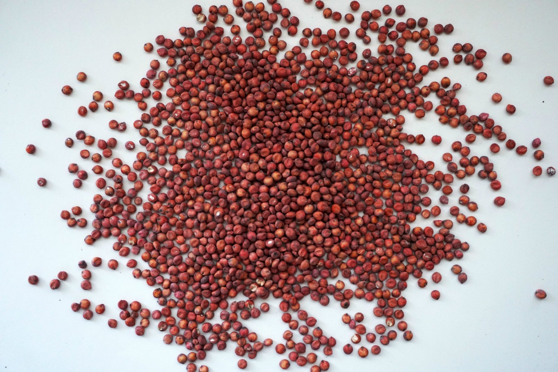 red milo bird seed