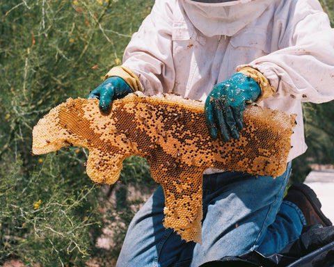 巴西蜂膠、巴西蜂膠功效、巴西綠蜂膠、加拿大蜂膠