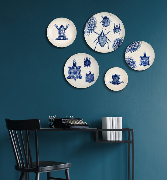 decorative plate collections