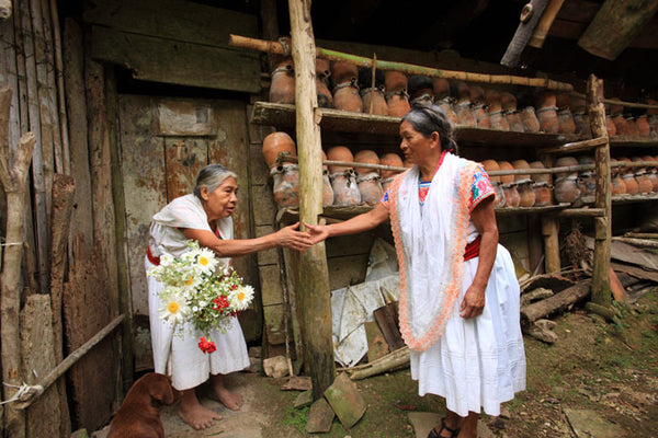 traditional-female-beekeepers-mexico