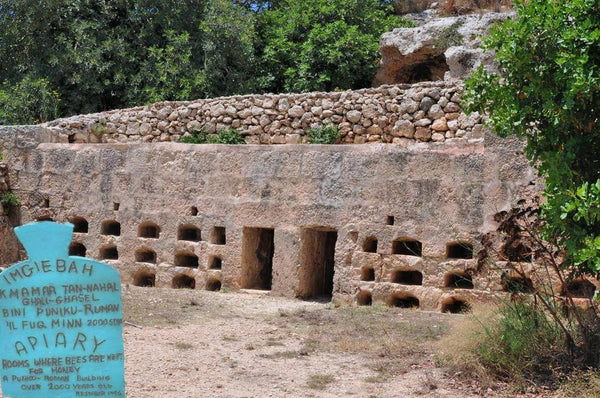 Ancient Roman apiary