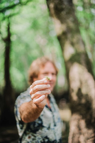 Ted Dennard holding a tupelo blossom in a tupelo swamp