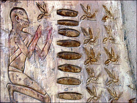 Ancient Egyptian art depicting beekeeping