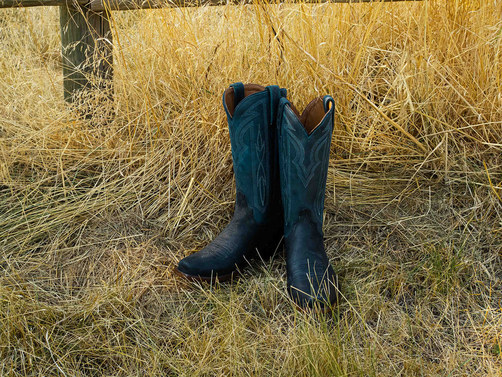 A pair of black cowboy boots sitting on the ground in some tall brown grass