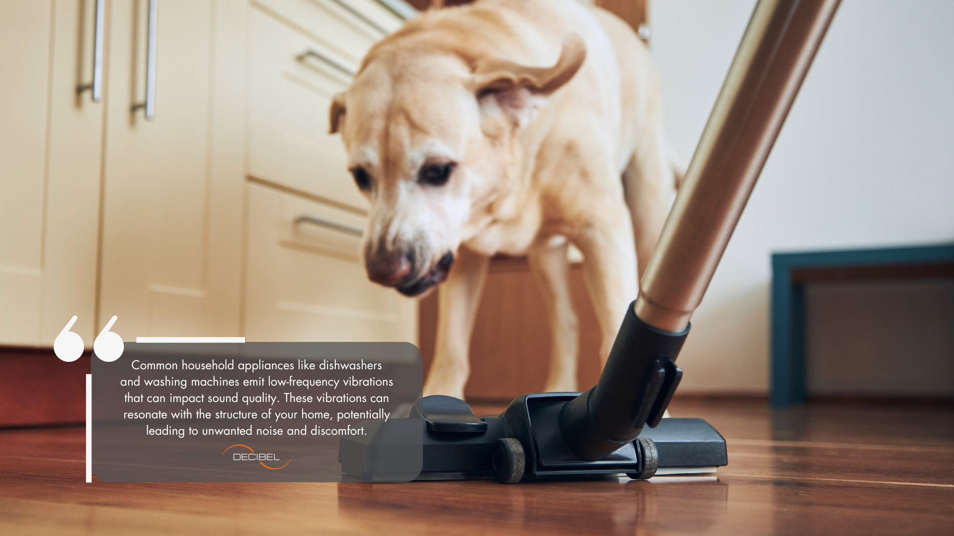 dog-barking-noisy-vacuum-cleaner-home