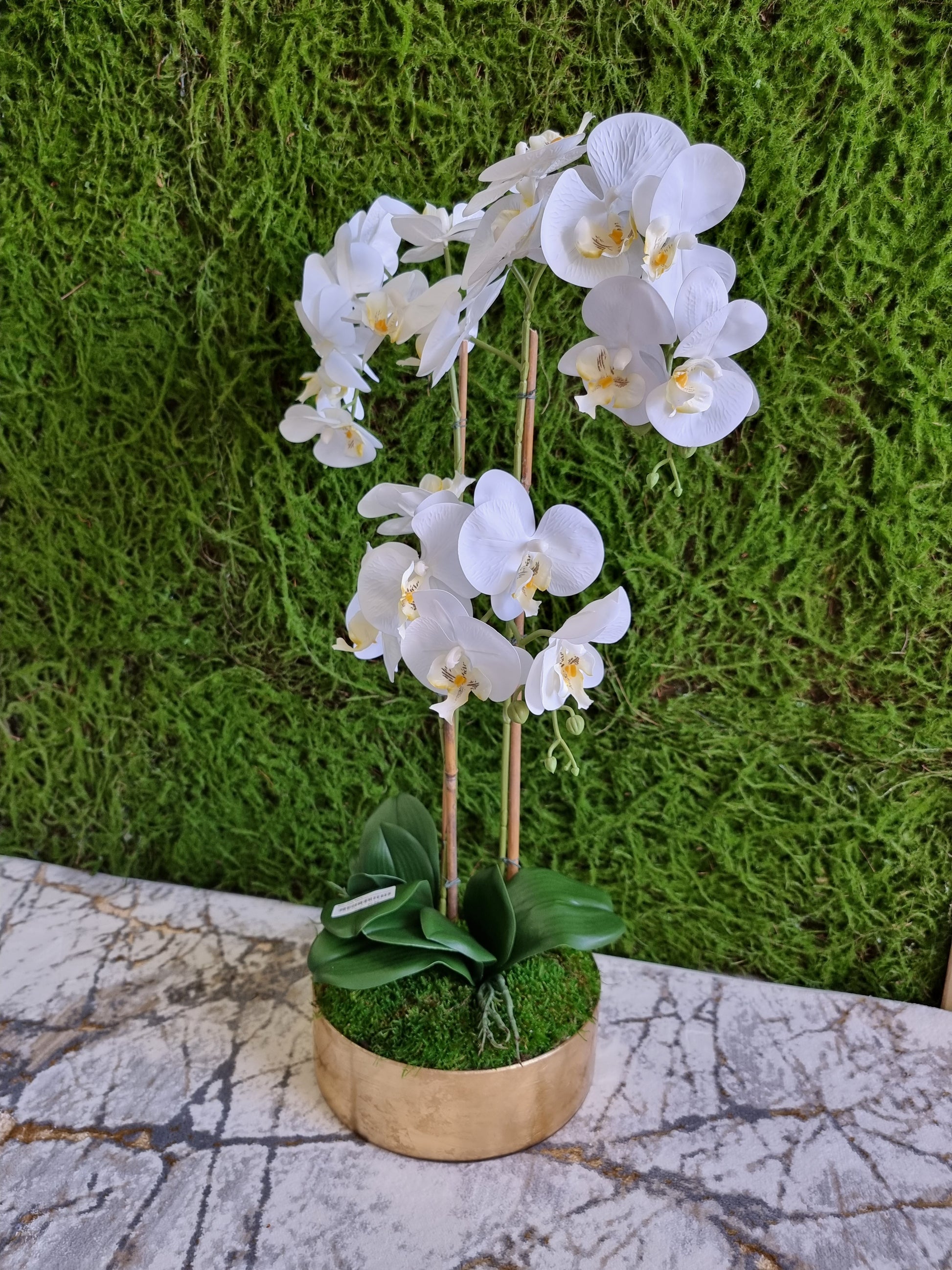 Vaso dourado orquídeas – DecorLar