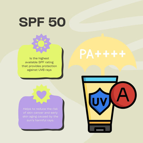 UVB Protection: SPF is a measure of how well a sunscreen will protect the skin from UVB rays.