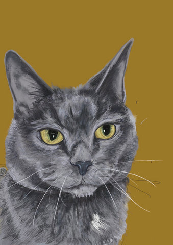 Picture of a cat on a yellow background