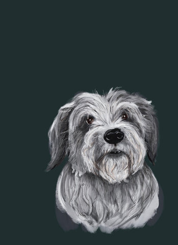 Picture of a dog on a dark green background