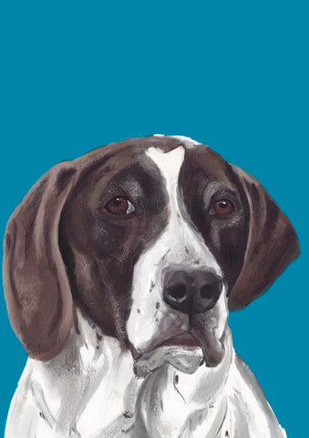Picture of a dog on a blue background