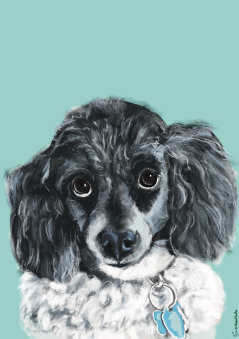 Picture of a dog on a turquoise background