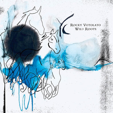 Rocky Votolato "Wild Roots" LP