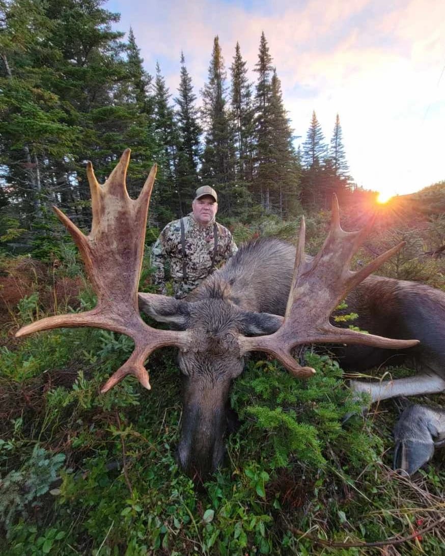 Newfoundland Moose Hunt Base Camp Remi Warren Expeditions