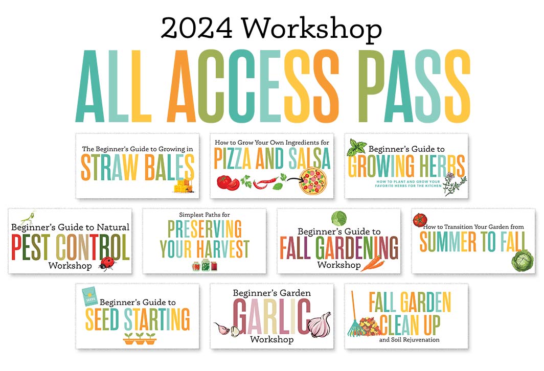 2024+Workshop+All+Access+Pass