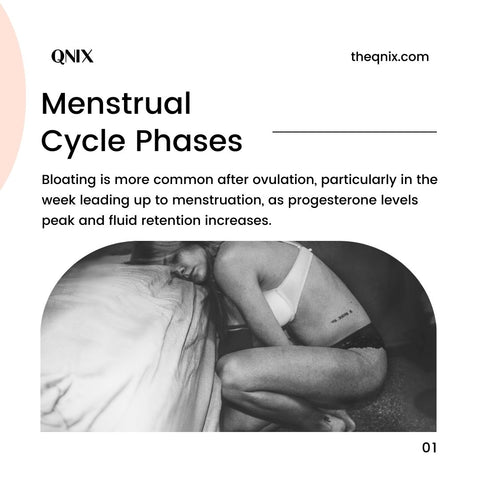 Menstrual Cycle Phases