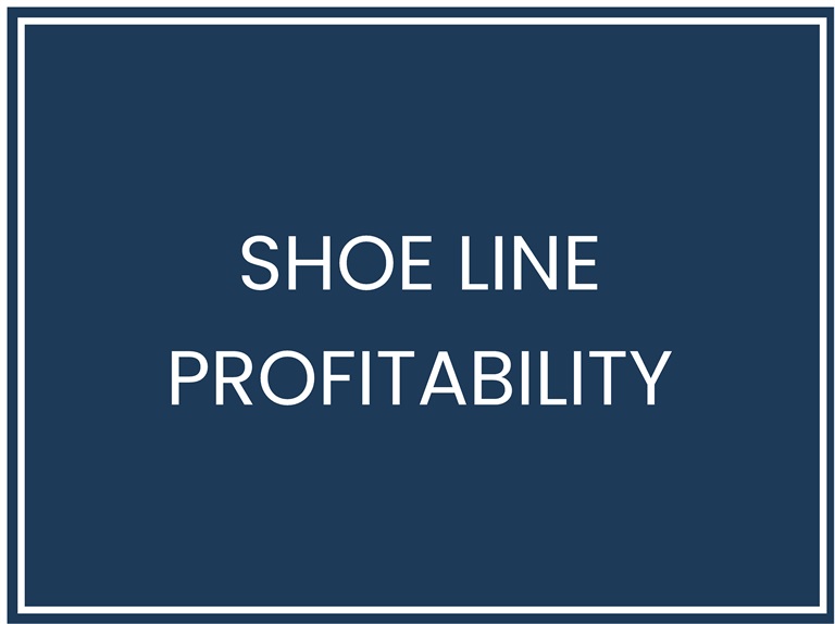 Profitable Shoe Line Success: Unveiling Fashion's Best – Business Plan ...