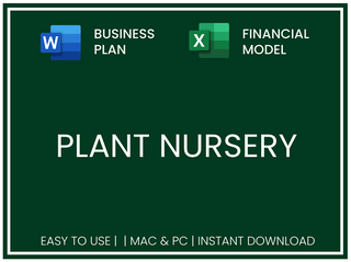 Excel financial model