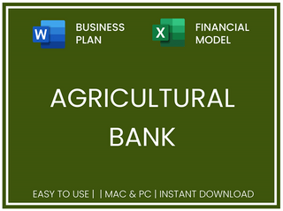 Excel financial model