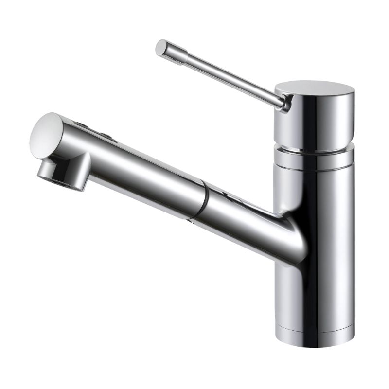 Vanguard Pull-Out Single-Handle Kitchen Faucet in Polished Chrome