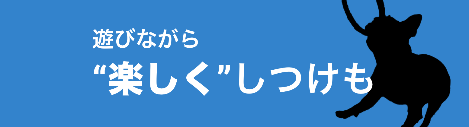 遊びながらしつけ