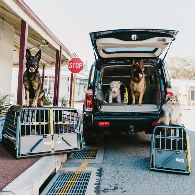 Display van meerdere Variocage autobenches en honden