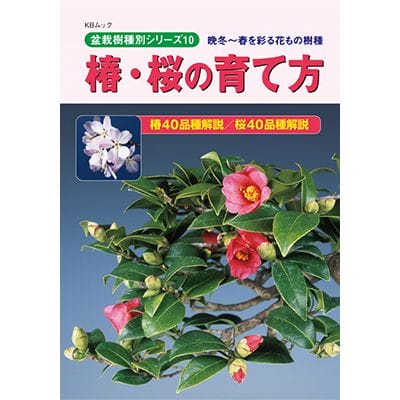 【書籍】盆栽 椿・桜の育て方本 ブック 近代出版