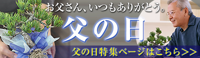 父の日特集へ