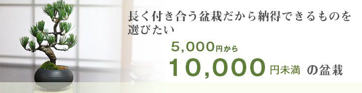 5,000円～10,000円未満