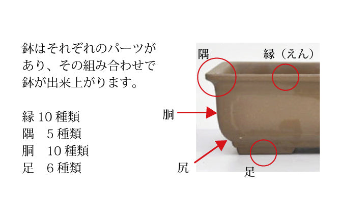 鉢の形状分類