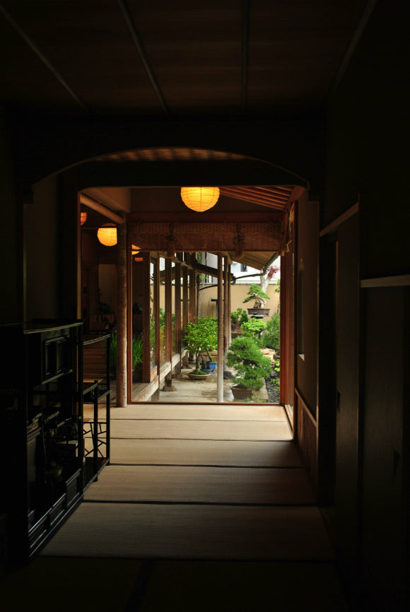 春花園BONSAI美術館