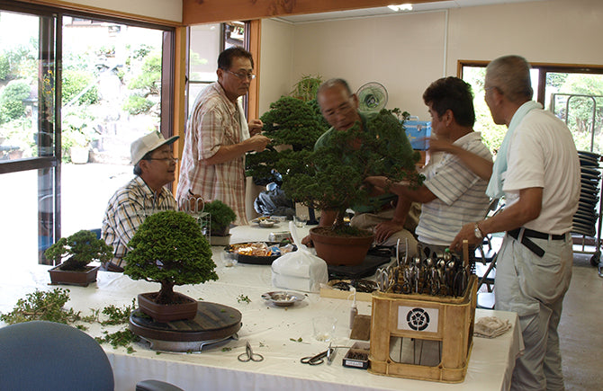 高村雅子