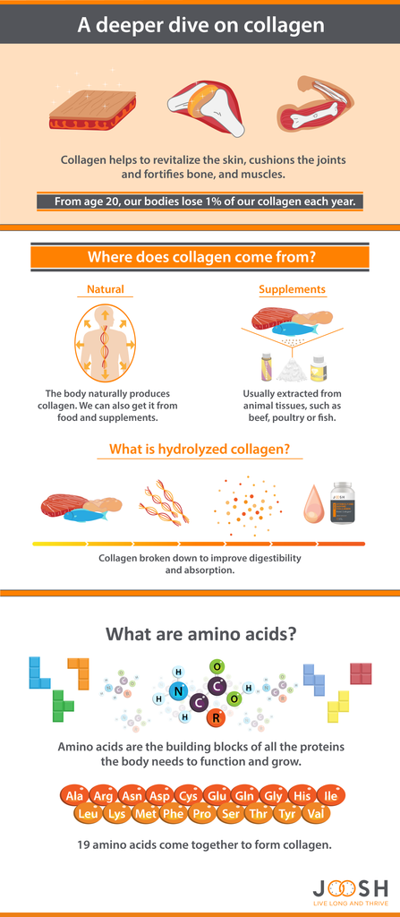 Infographic diving deeper into collagen and collagen supplements.