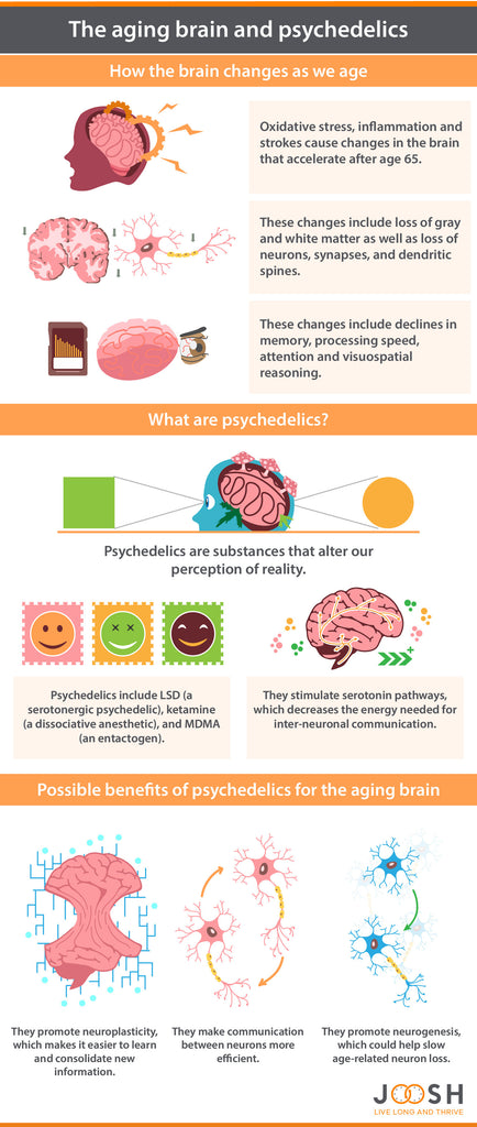 Infographic explaining the aging brain and psychedelics