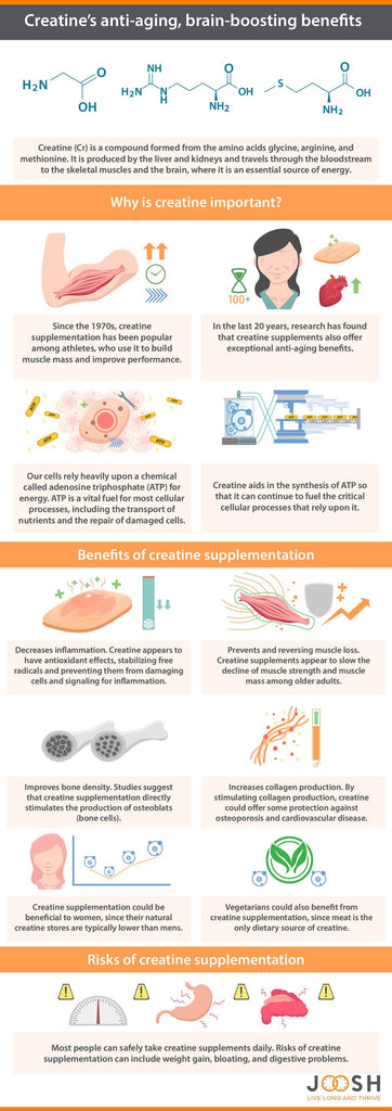 Creatine's anti-aging, brain boosting benefits infographic