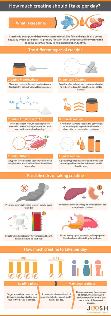 Infographic addressing how much creatine individuals should take per day.