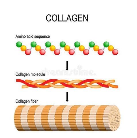 Sequence of three amino acids coiled together to make a collagen fiber.