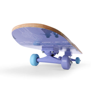 volwassen zuiden Kindercentrum Disney Frozen Skateboard 31 inch – mesucaasia