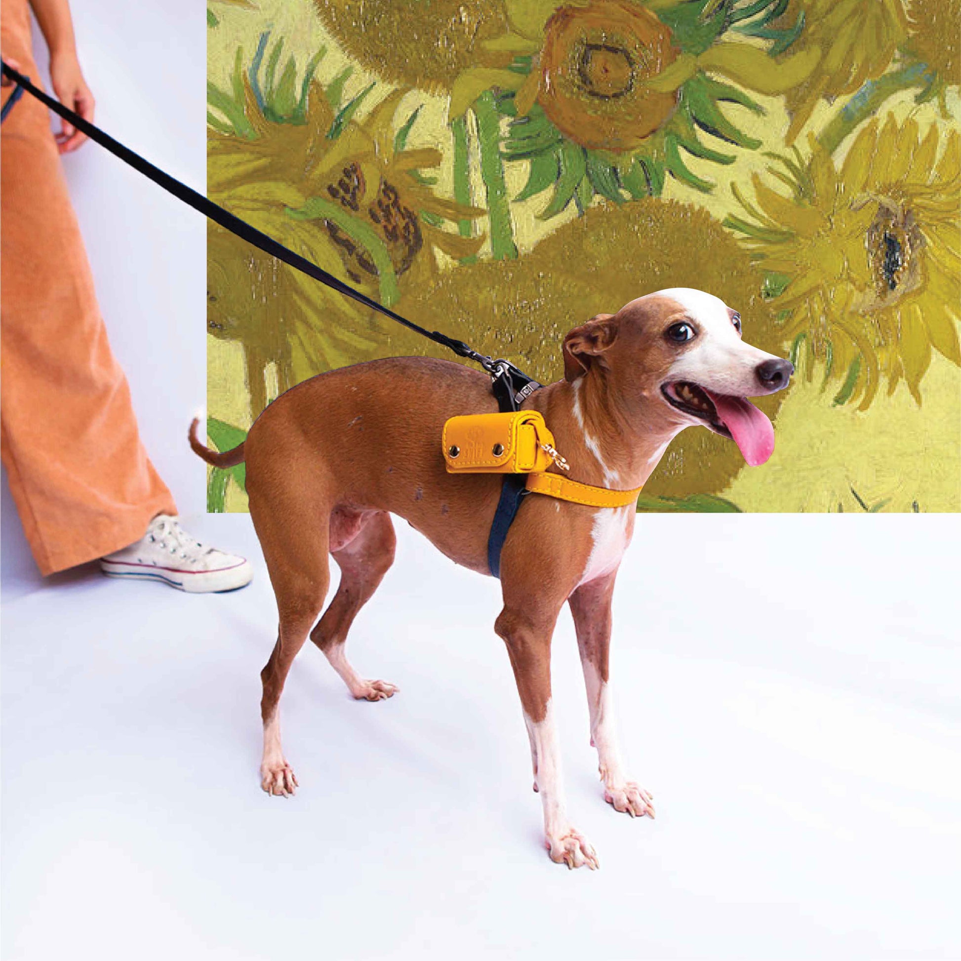 Connected Control™ Harness: no-pull dog walking harness (2-point,  front-clip in Leather or Brahma)