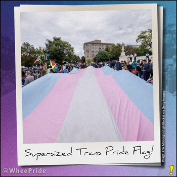 Large Trans Pride Flag on Parade